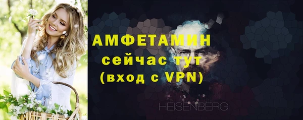 сатива Волоколамск