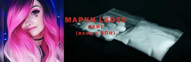 ПСИЛОЦИБИНОВЫЕ ГРИБЫ Волосово