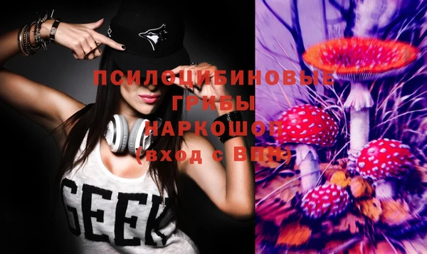 ПСИЛОЦИБИНОВЫЕ ГРИБЫ Волосово