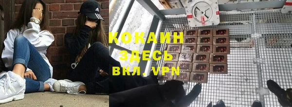 сатива Волоколамск