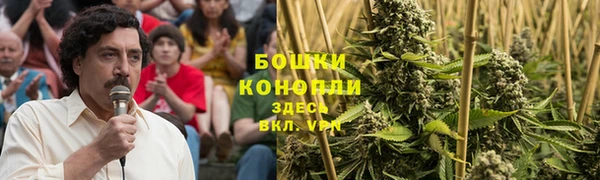 сатива Волоколамск