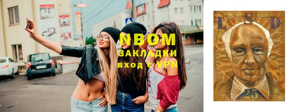 сатива Волоколамск