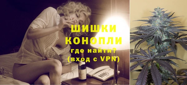 сатива Волоколамск