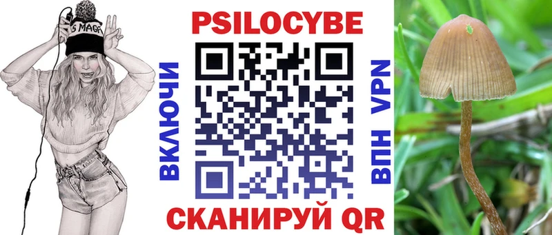Купить  Урус-Мартан  Псилоцибиновые грибы прущие грибы 